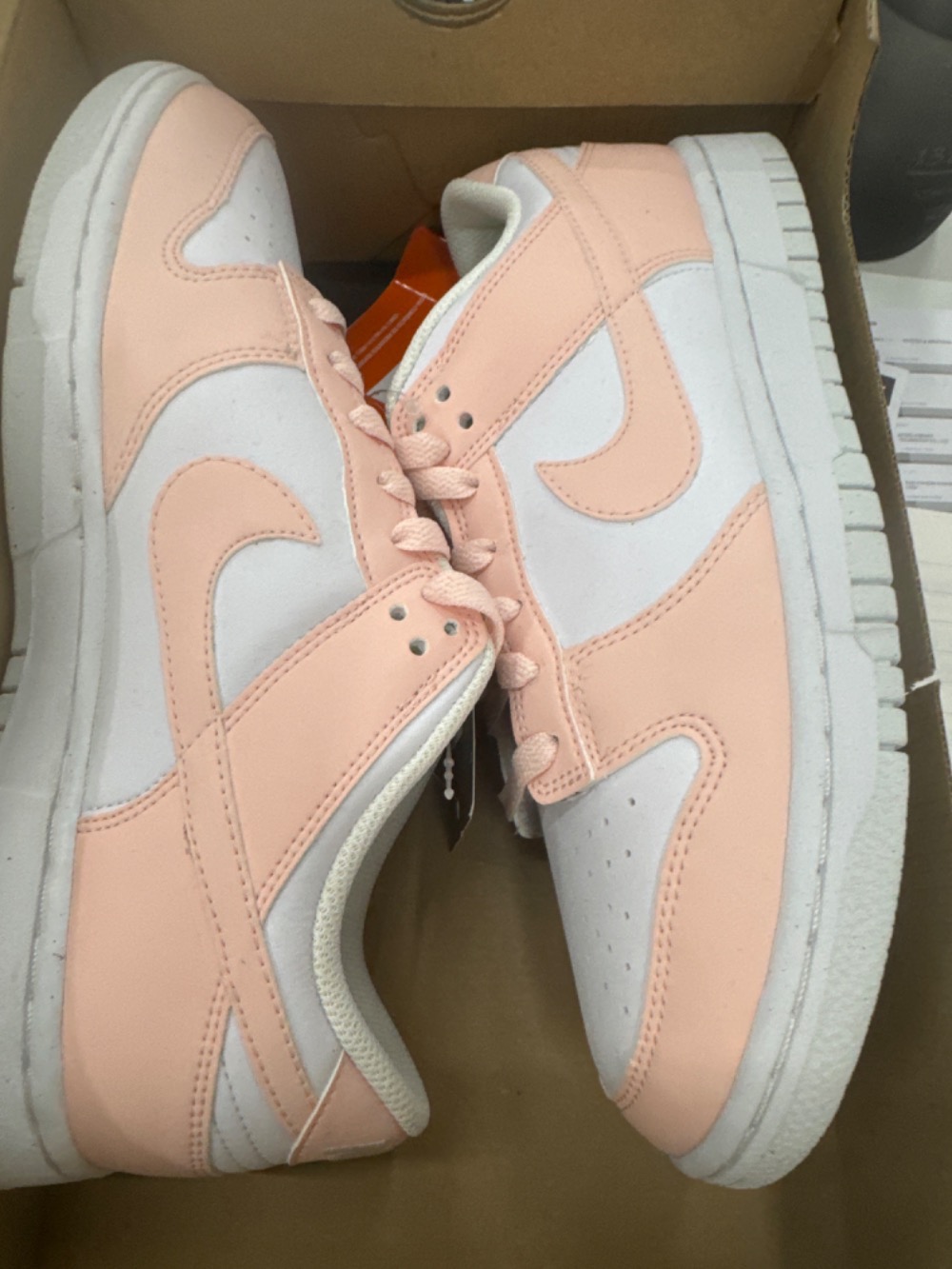Nike Dunk Low Move To Zero Pink — 39, Novo