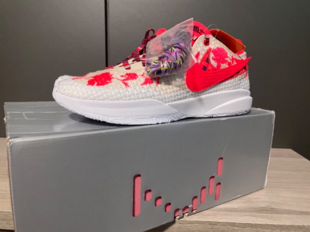 Mimi Plange x Nike LeBron 20 Premium Ceremony