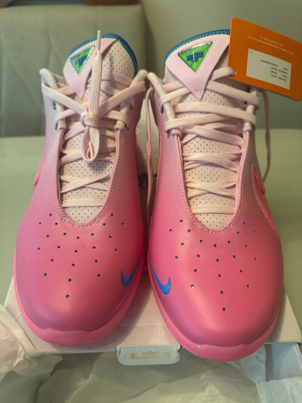 Nike Lebron 22 I Promise