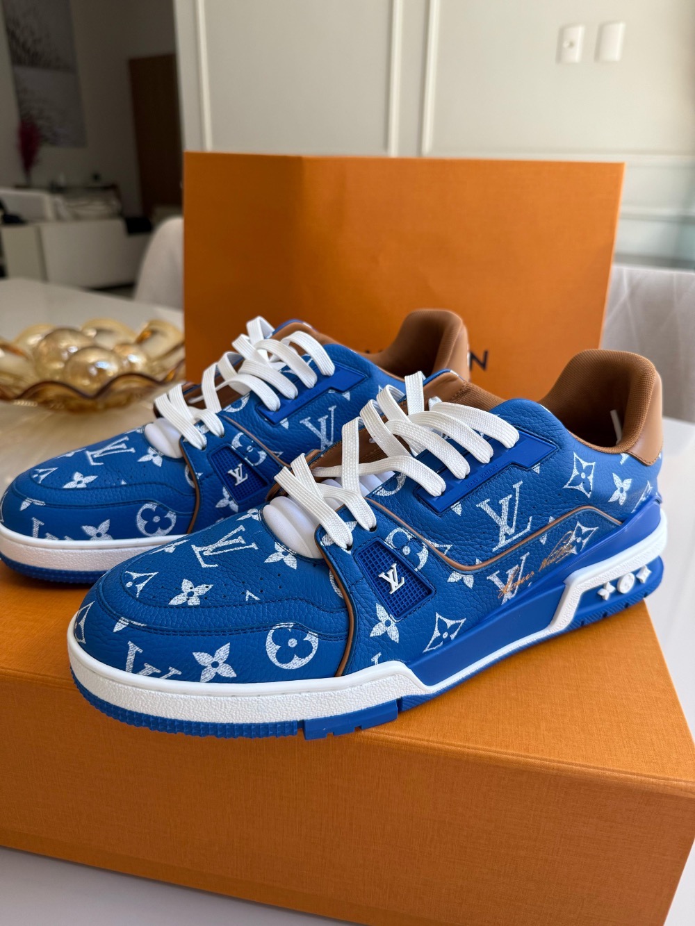 Louis Vuitton Trainer Low Blue White
