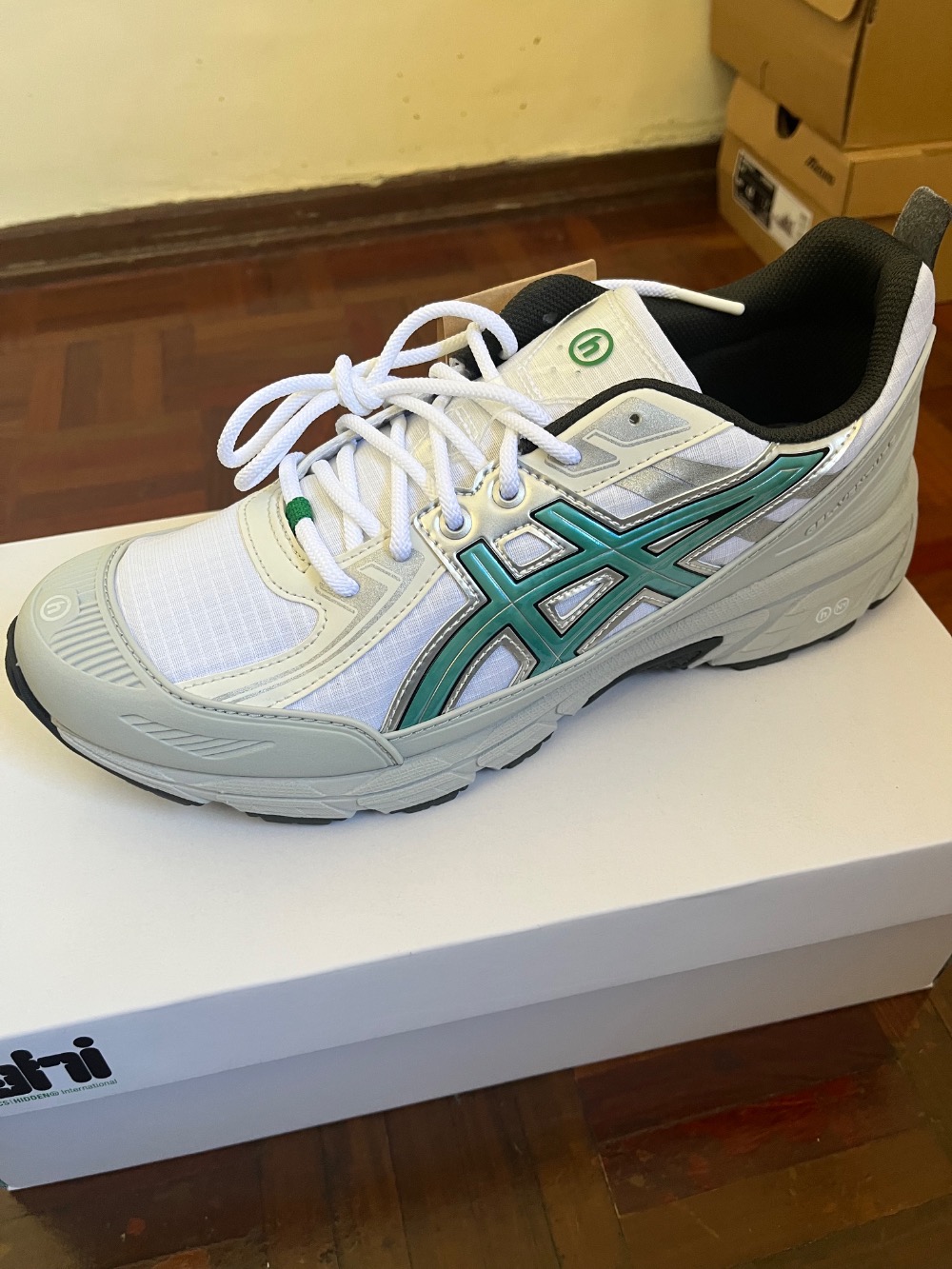 Hidden NY x Asics Gel-Venture 6 Shield