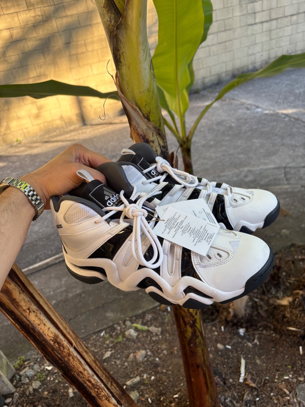 adidas Crazy 8 Cloud White