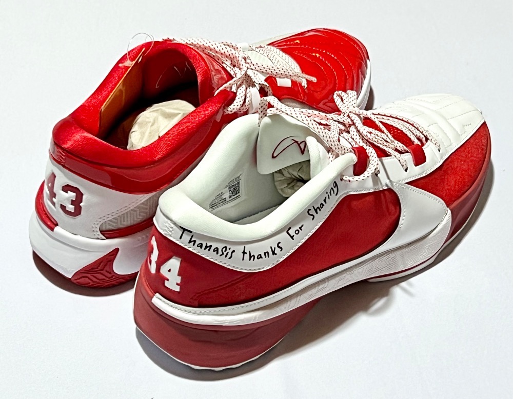Nike Zoom Freak 5 All-Star