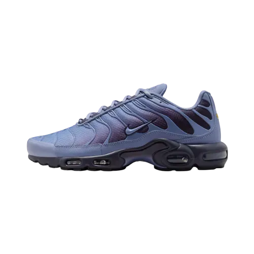 Nike Air Max Plus OG World Indigo