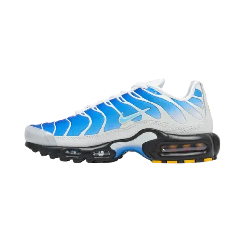 One Block Down x Nike Air Max Plus SP Azul