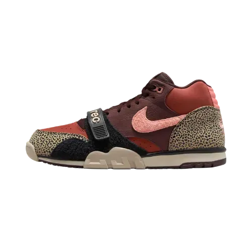 Arts-Rec Skateshop x Nike SB Air Trainer 1 Earth Dusty Peach