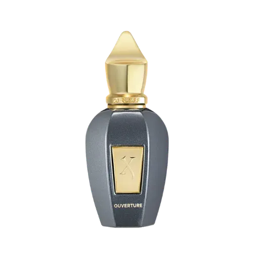 Perfume Xerjoff Vibe Ouverture 100ml