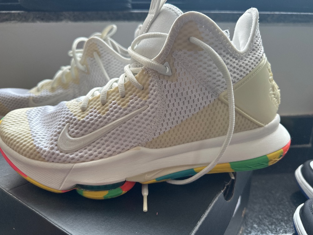 Nike LeBron Witness 5 Summit White Metallic Bronze