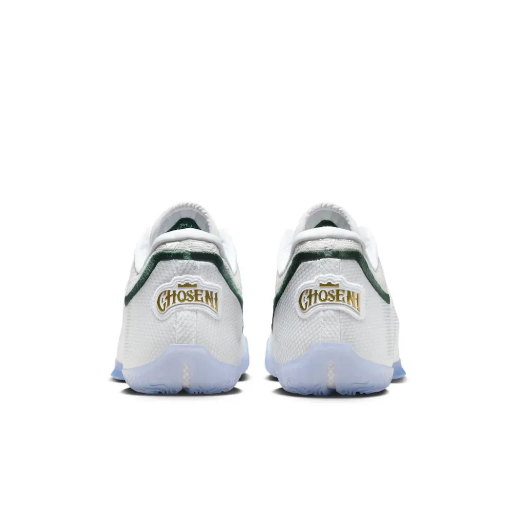 Nike LeBron 23 From This Point Forward - Droper