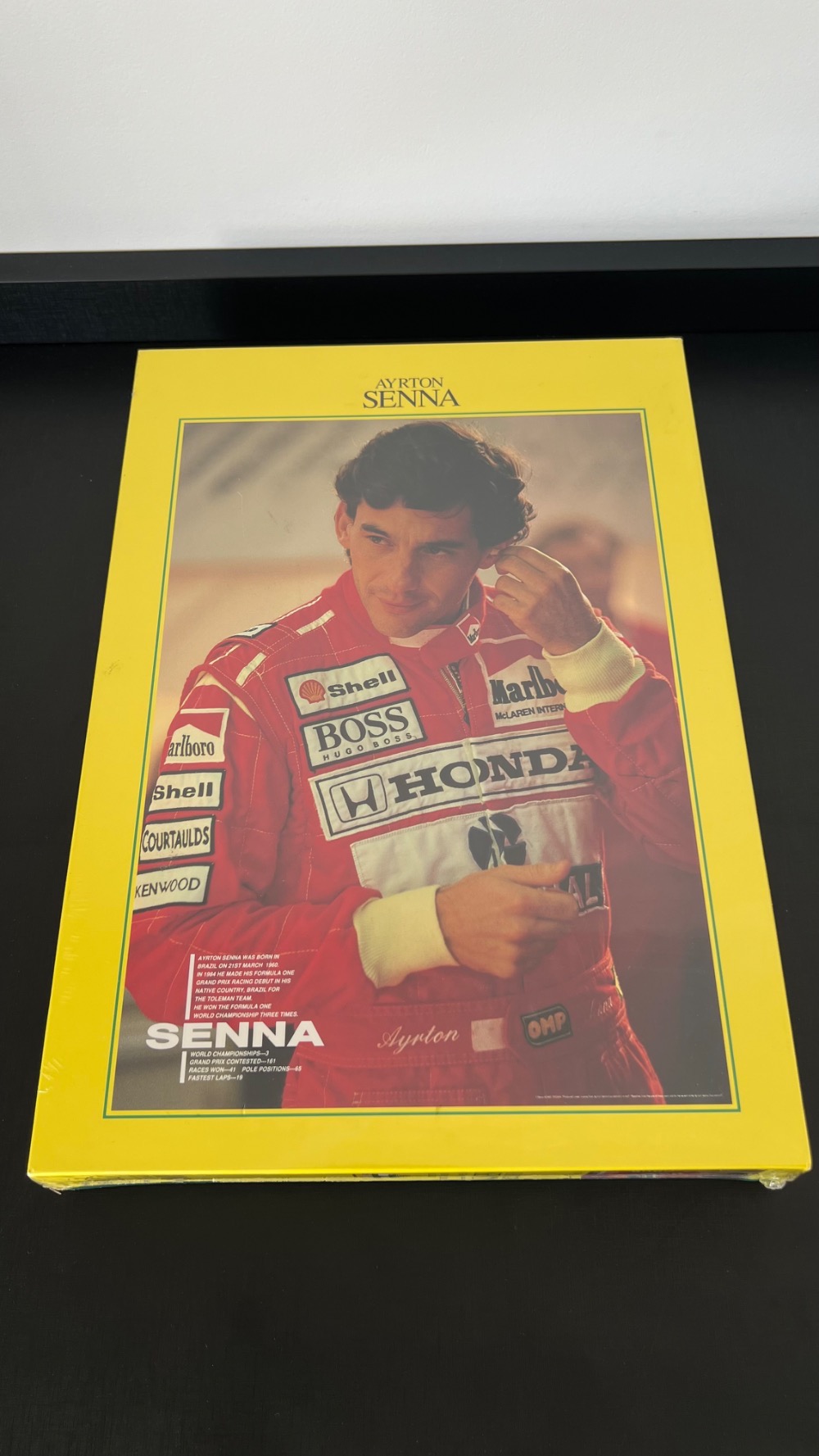 Quebra Cabeça Central Hobby Ayrton Senna 1000 Peças