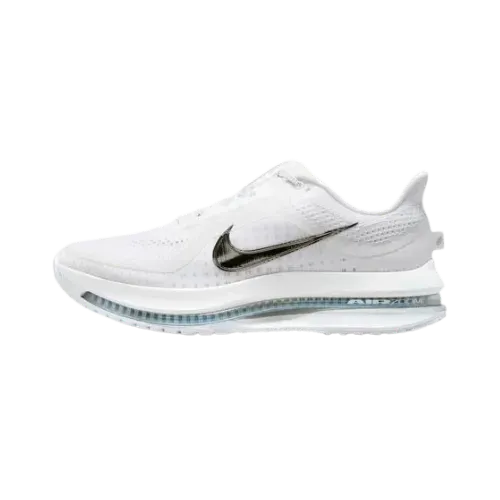 Nike Pegasus Premium White Metallic Silver
