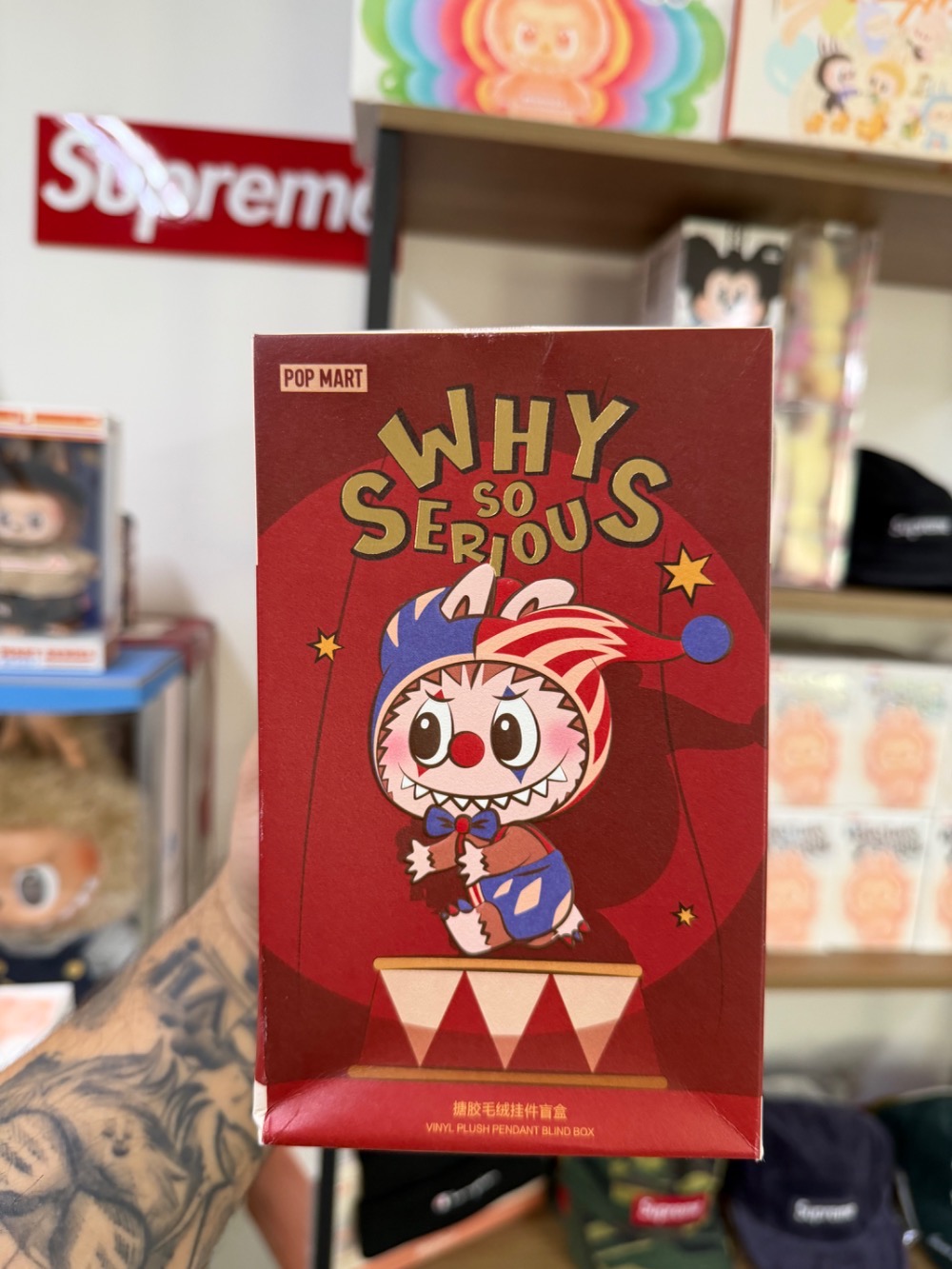 Pop Mart Labubu Why So Serious Series Vinyl Plush Pendant Blind Box