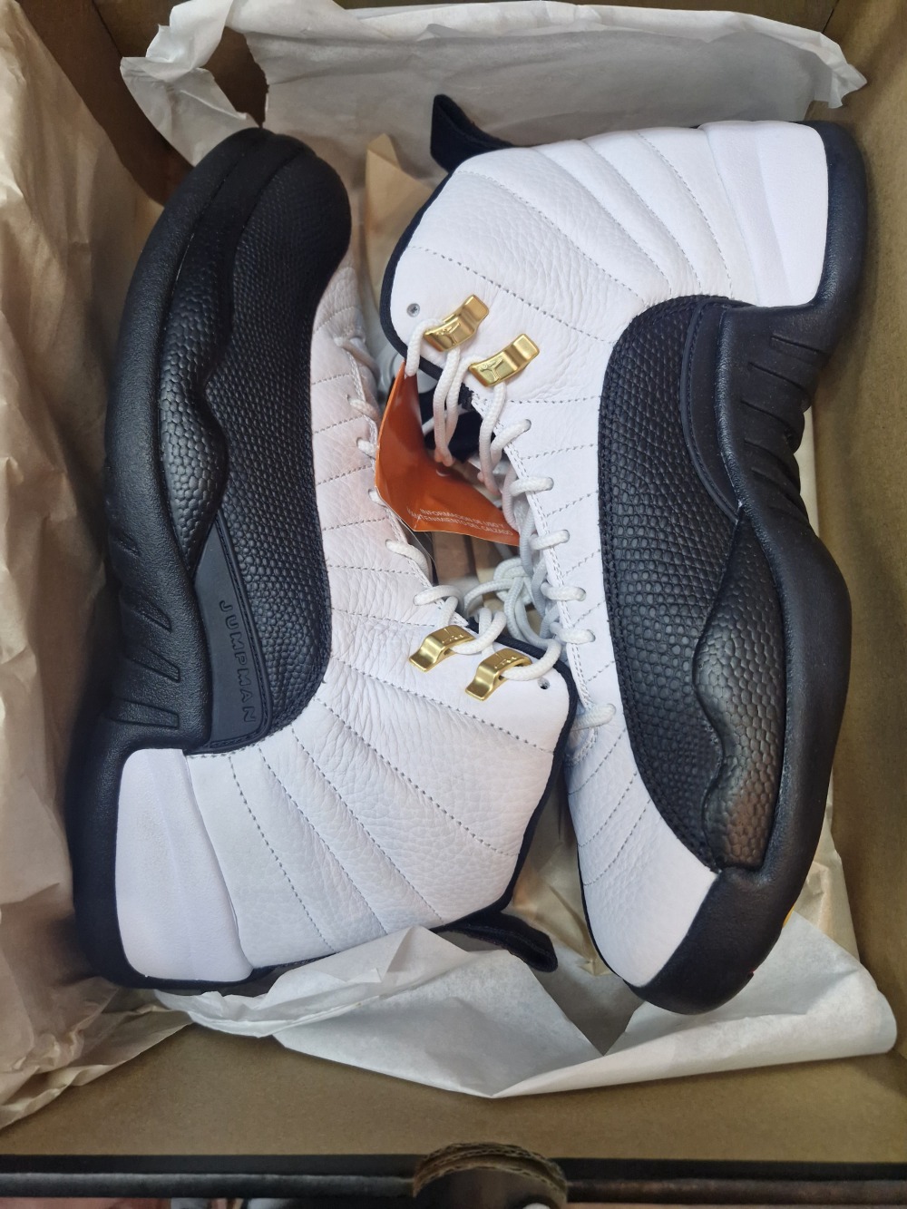 Air Jordan 12 Taxi