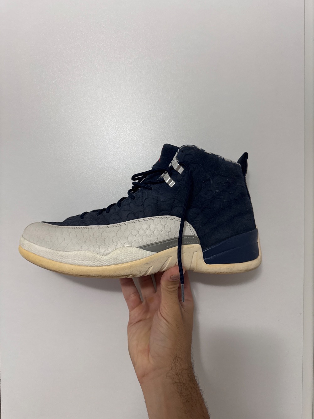 Air Jordan 12 International Flight