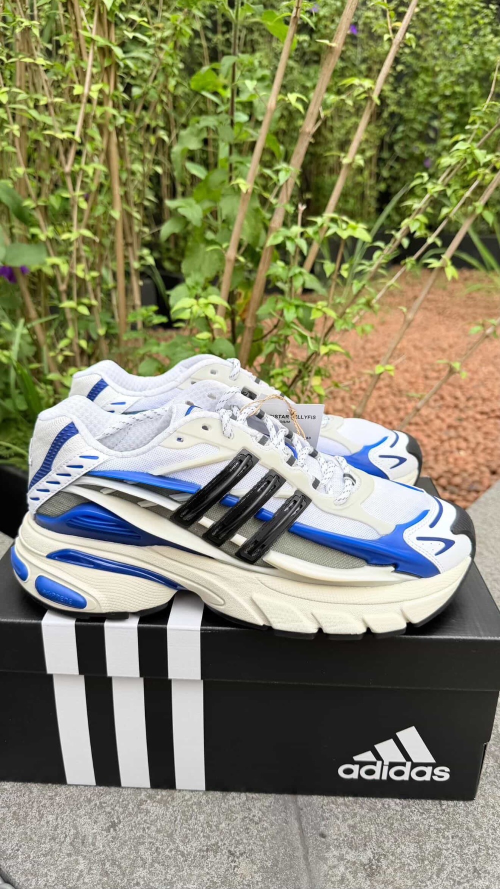 Pharrell Williams x adidas Adistar Jellyfish Focus Olive Core Black Royal — 41, Novo