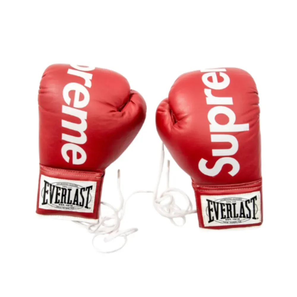 Everlast x Supreme Luva de Box Red (2008) - Droper