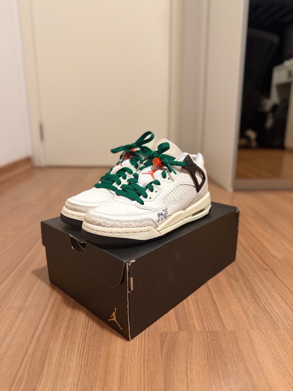 Air Jordan Spizike Low GS Was Here