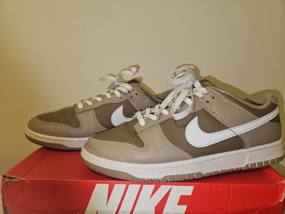 Nike Dunk Low Judge Grey — 41, Usado