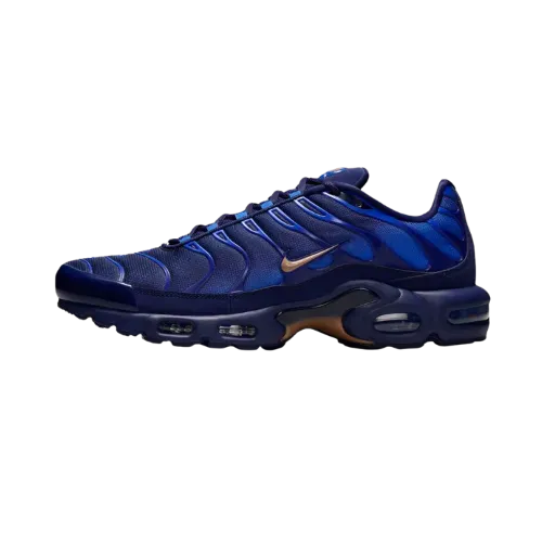 Nike Air Max Plus French Football Federation