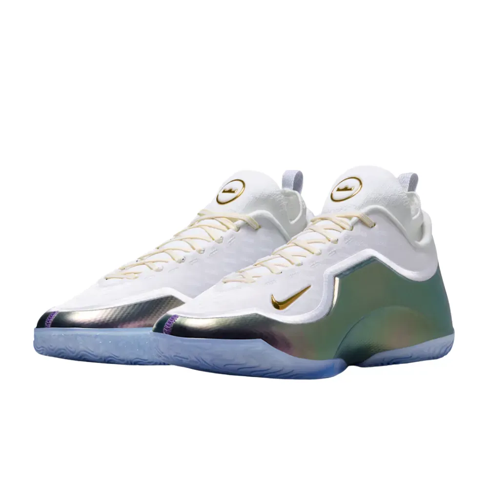 Nike LeBron XXIII Elite For the Record - Droper