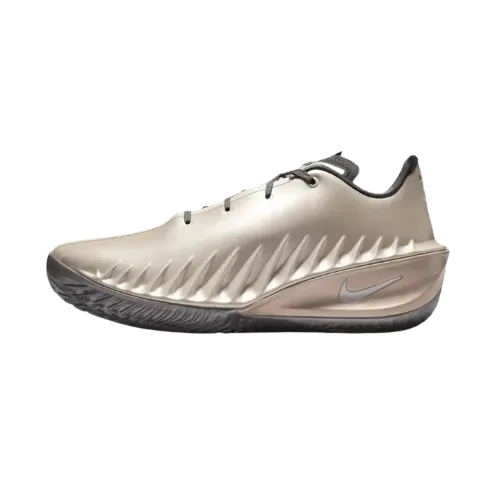 Nike GT Cut 4 Rob Dillingham PE Metallic Silver