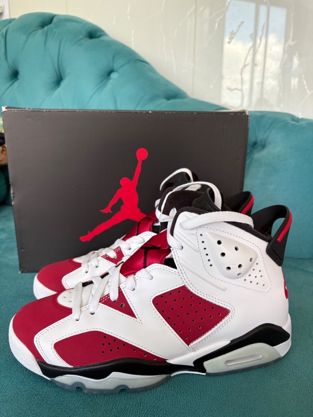 Air Jordan 6 Carmine (2021)