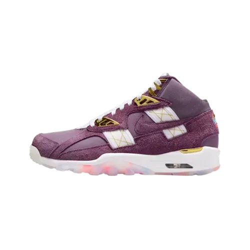 Air Jordan Trainer SC Pro Purple