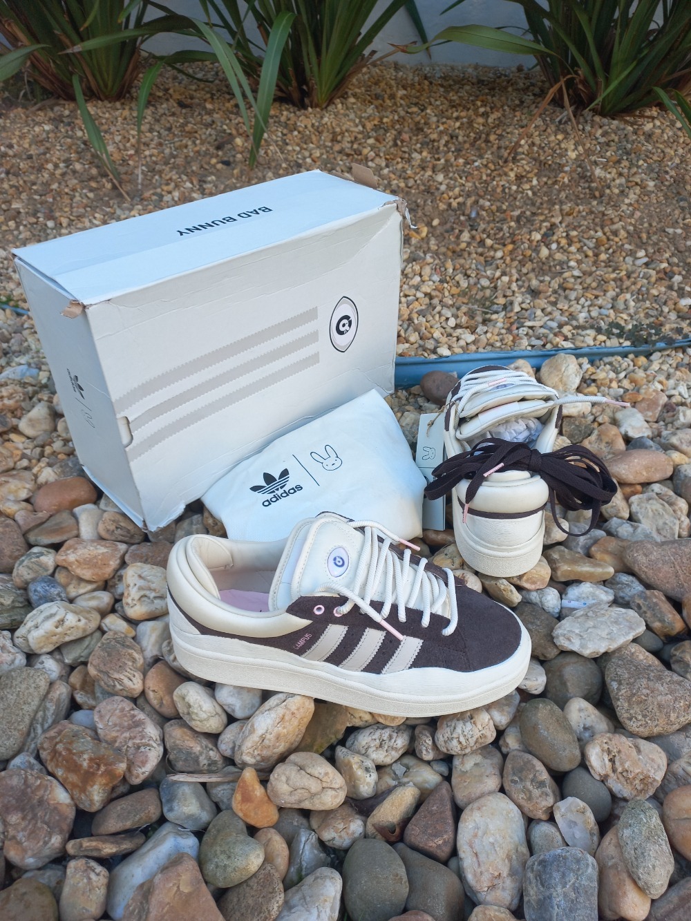 Bad Bunny x adidas Campus Deep Brown