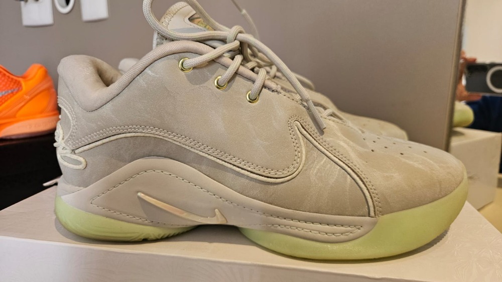 Nike Lebron 22 Dunkman