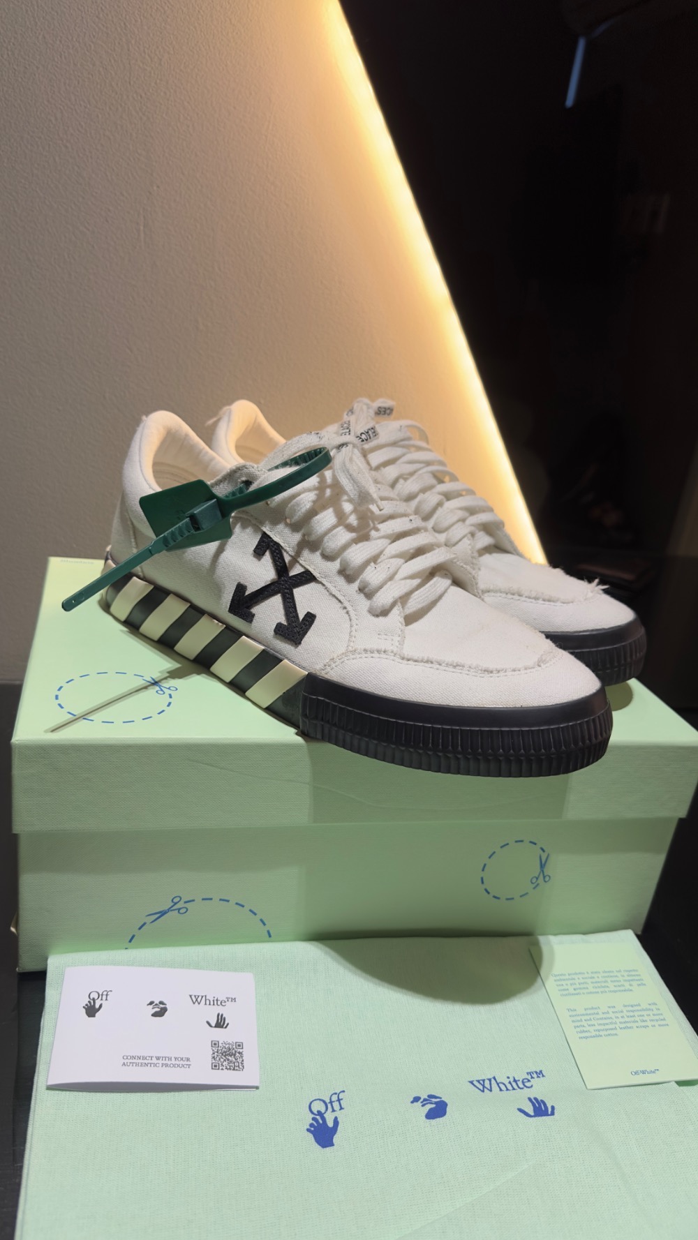 Off-White Vulcanized Low Canvas White