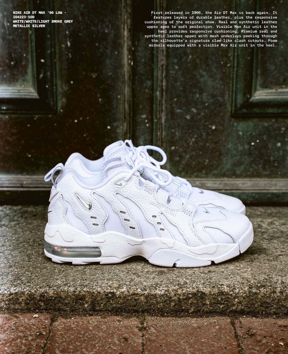 Nike Air DT Max '96 Low Light Smoke Grey Metallic Silver