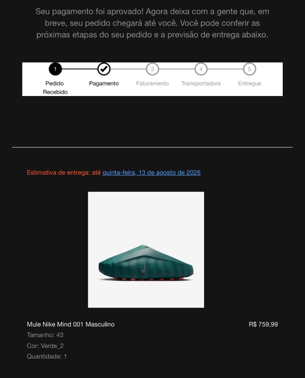 Nike Mind 001 Slide Mineral Slate — 43, Novo