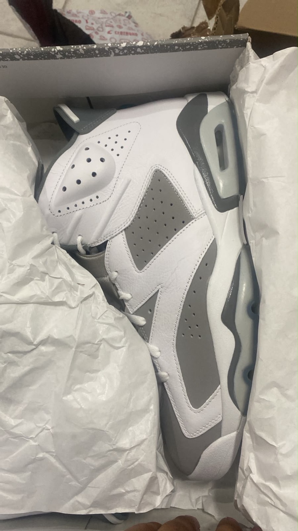 Air Jordan 6 Cool Grey