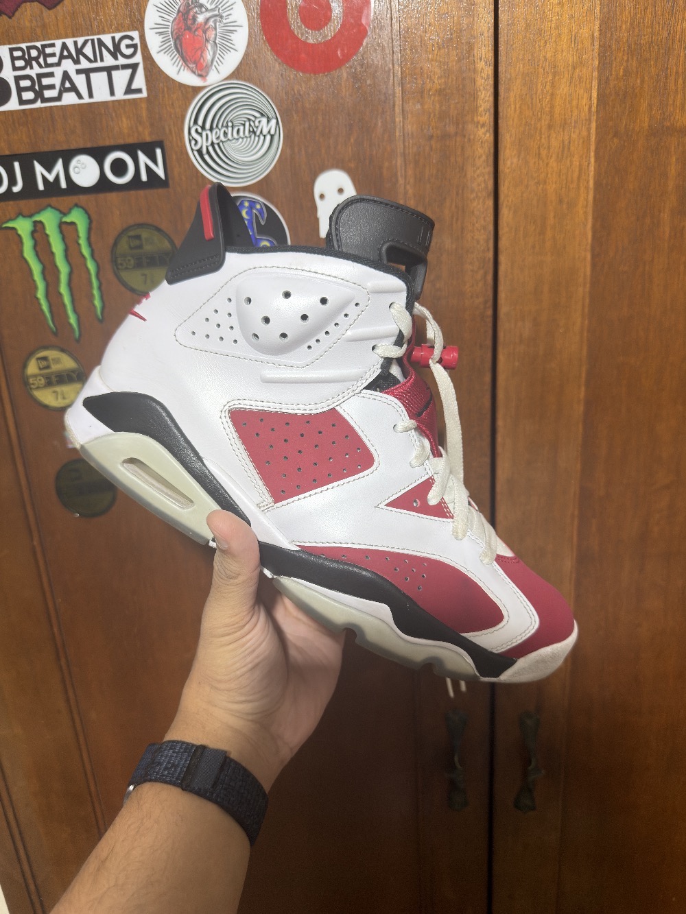 Air Jordan 6 Carmine (2021)