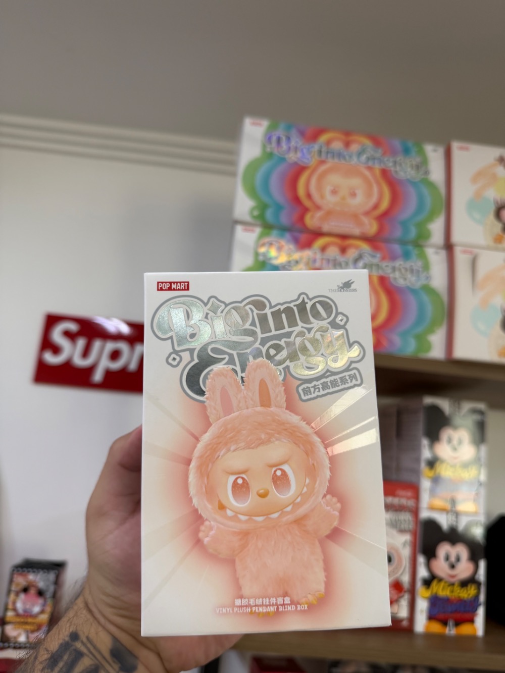 Pop Mart Labubu The Monsters Big Into Energy Series Vinyl Single Blind Box