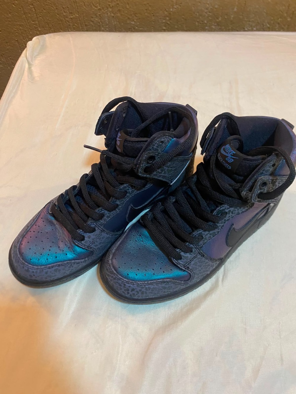 Black Sheep x Nike SB Dunk High Hornet