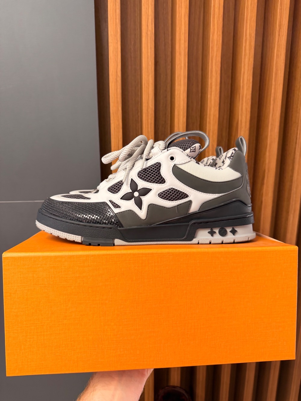 Louis Vuitton LV Skate Gris
