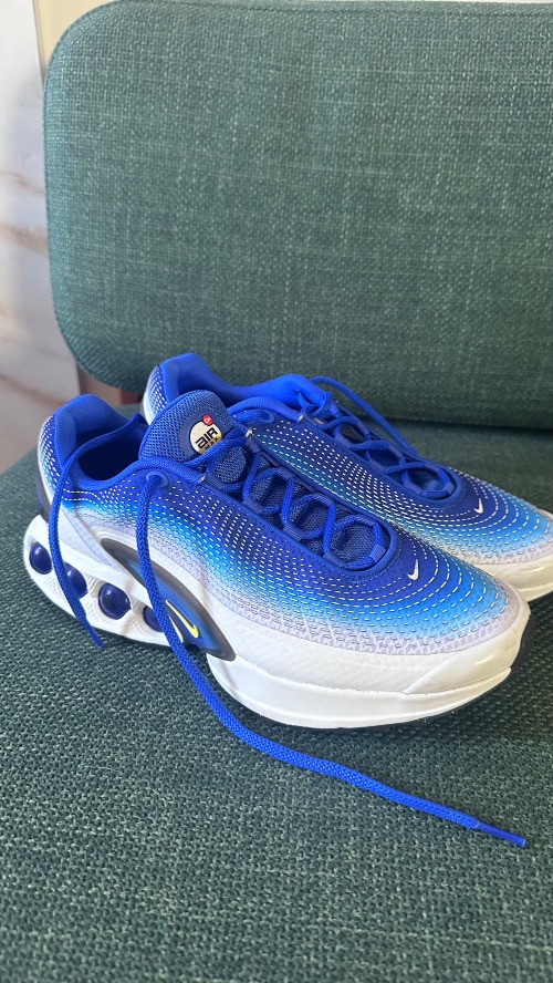 Nike Air Max DN Racer Blue