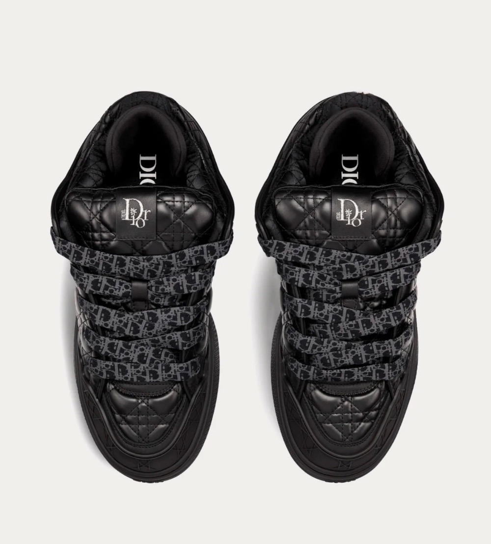 Tênis DIOR B9S skater colab ERL