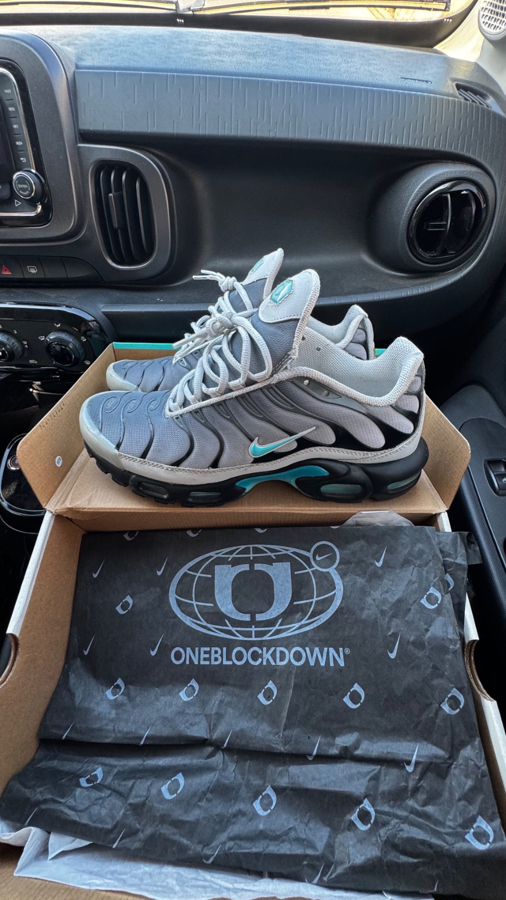 One Block Down x Nike Air Max Plus SP Cinza