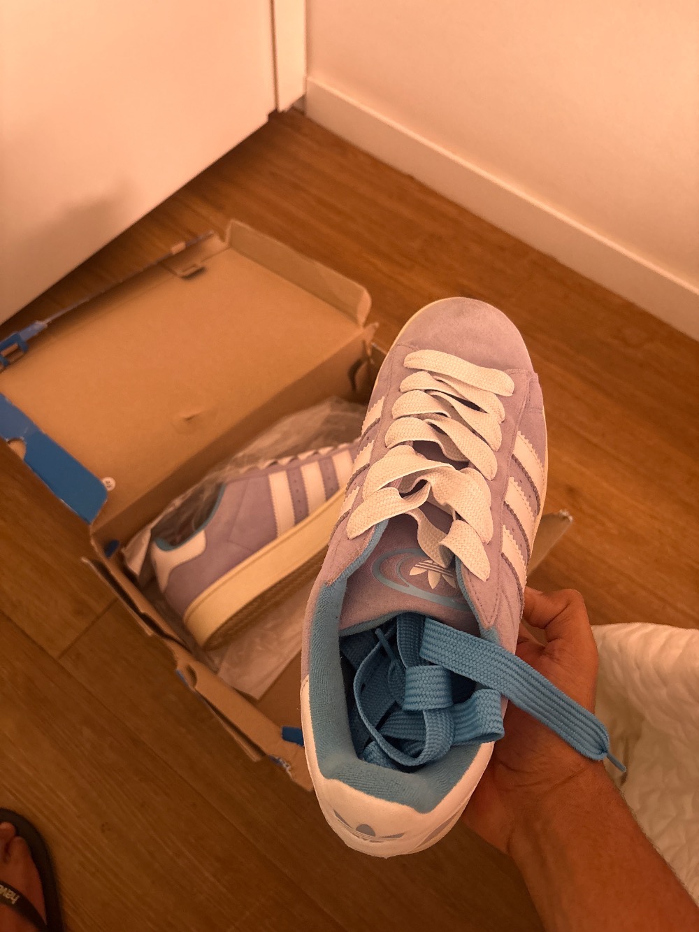 adidas Campus 00s Clear Sky Blue