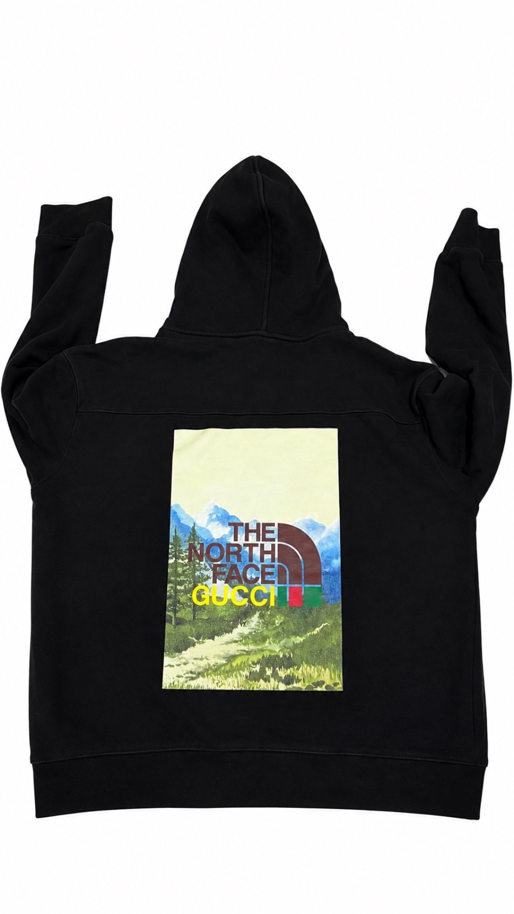 Blusa Moletom Gucci x The north Face
