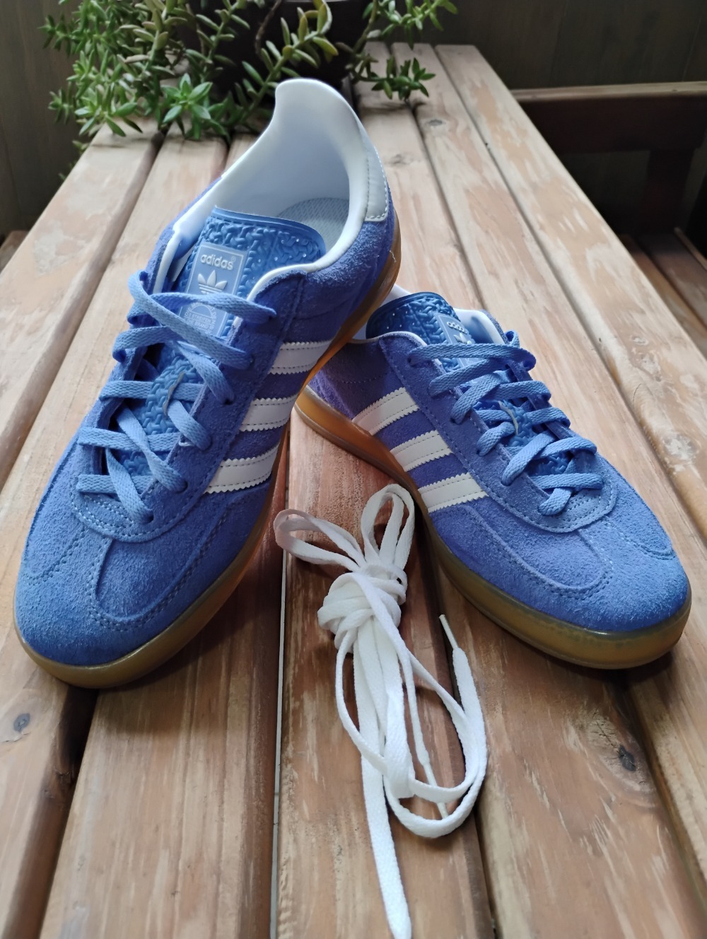 adidas Gazelle Indoor Blue Fusion Cloud White