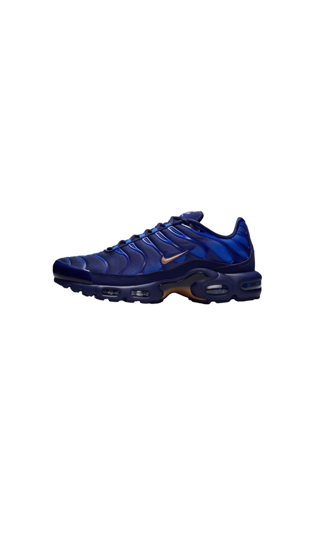 Nike Air Max Plus French Football Federation
