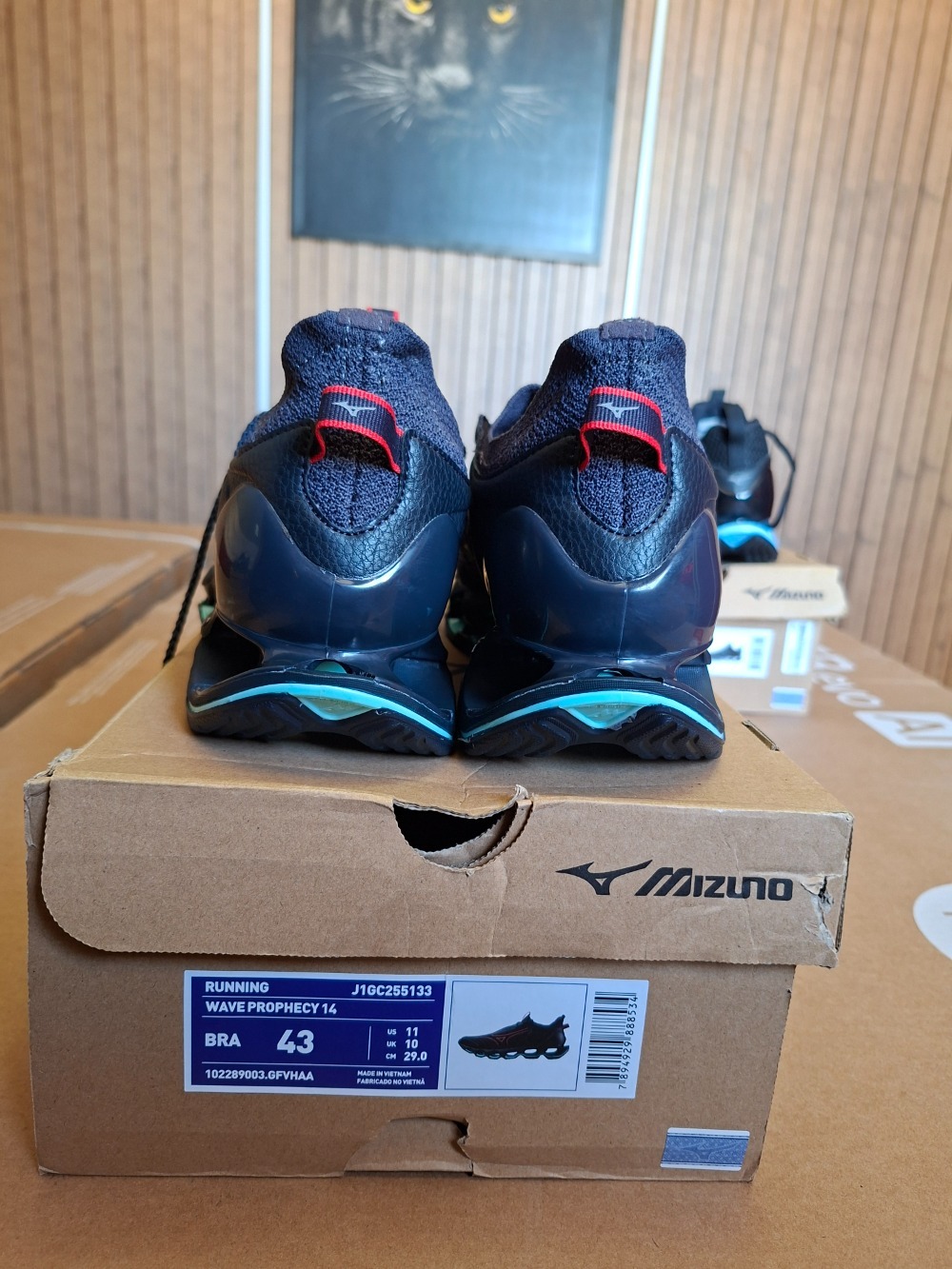 Mizuno Wave Prophecy 14 Navy Teal