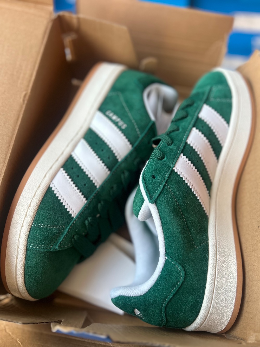 adidas Campus 00s Green White Gum