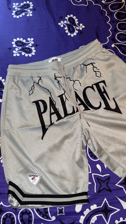 Palace Bermuda Hesh Athletic Shorts G
