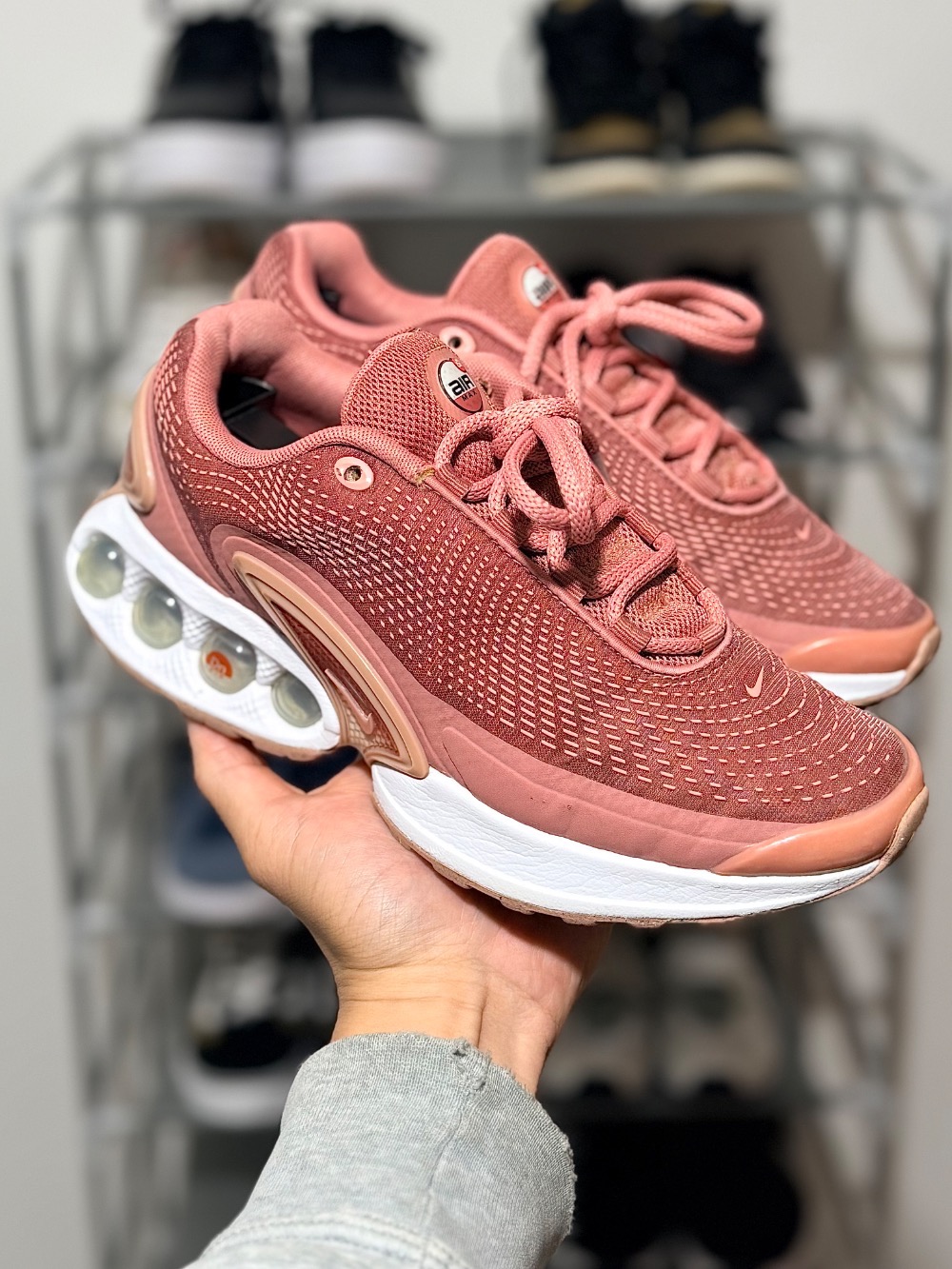 Nike Air Max DN Red Stardust Rose Whisper Rust Pink Canyon Rust