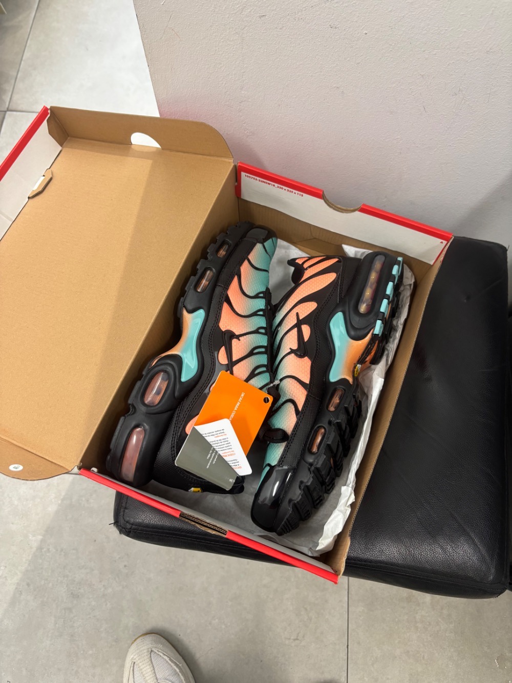 Nike Air Max Plus OG South Beach
