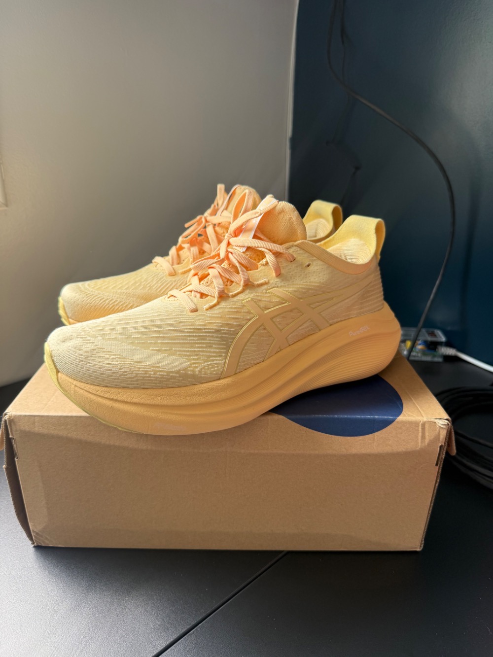 Asics Nimbus 27 lite show